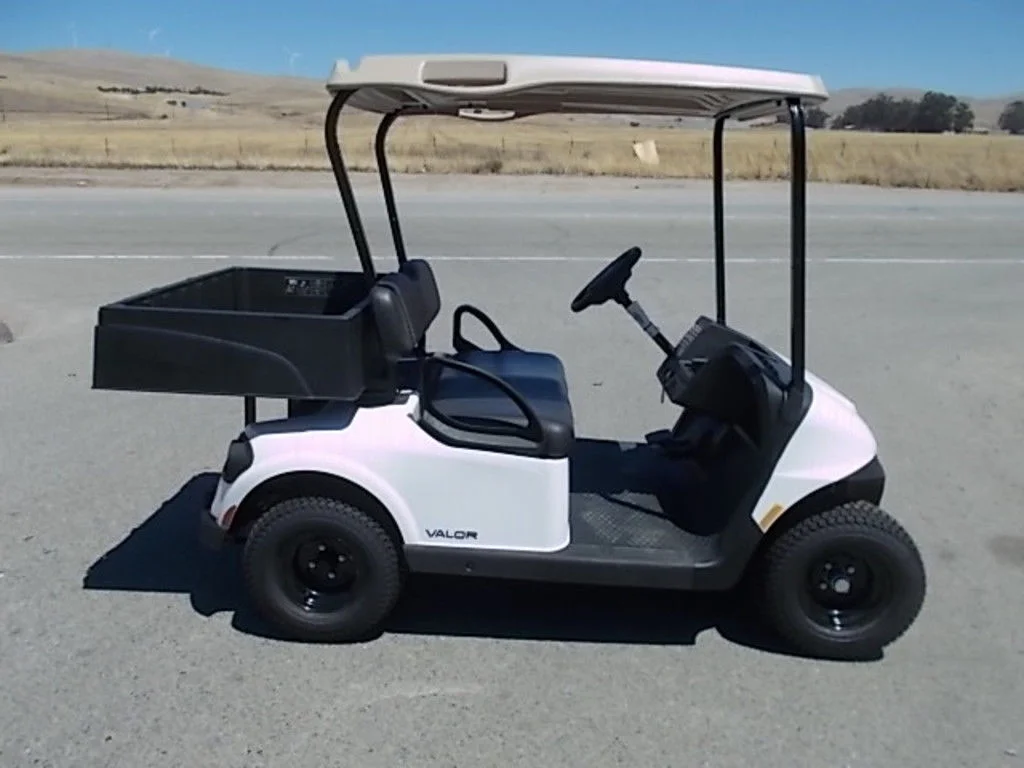 2025 E-Z-GO Valor photo 2