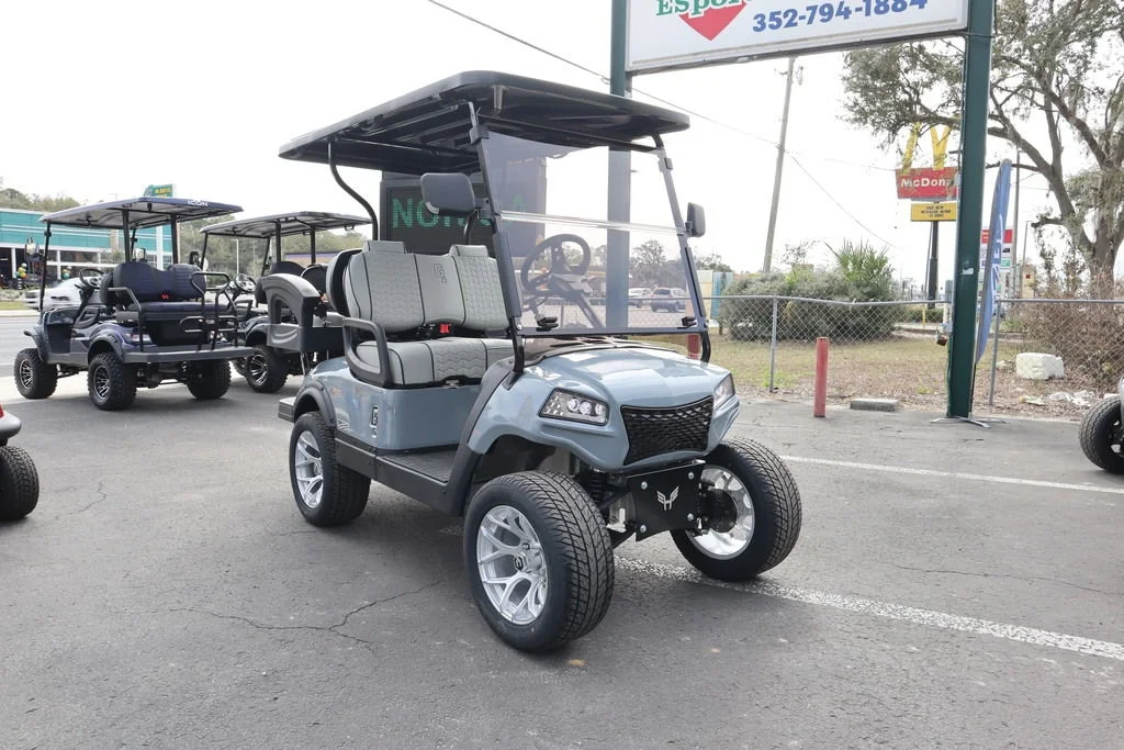 2025 Honor LSV 2+2 photo 2