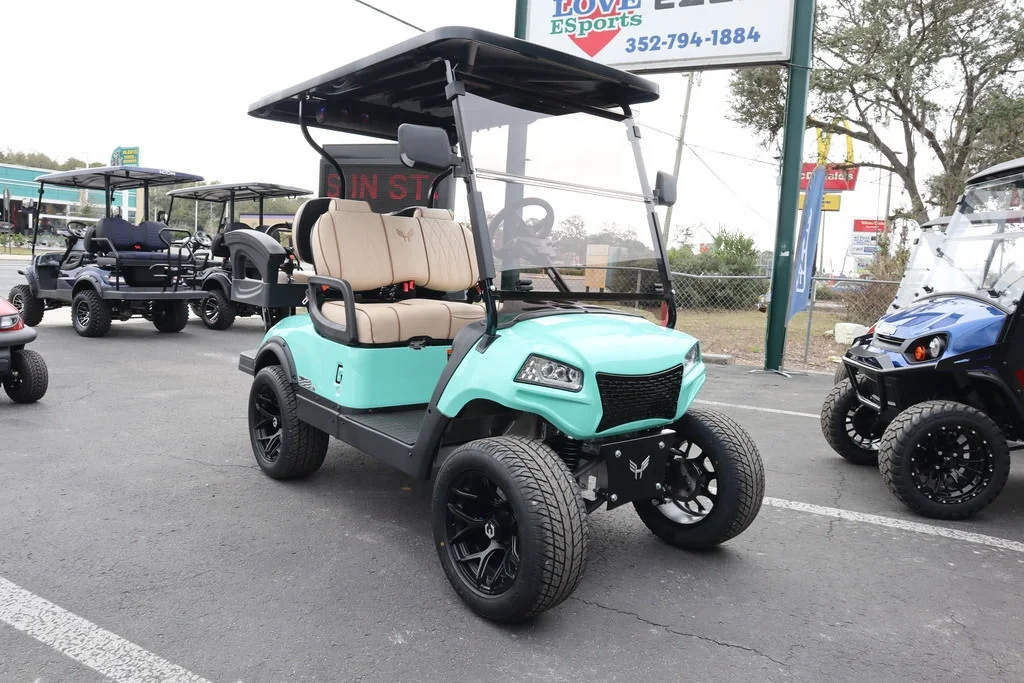 2025 Honor LSV 2+2 photo 2