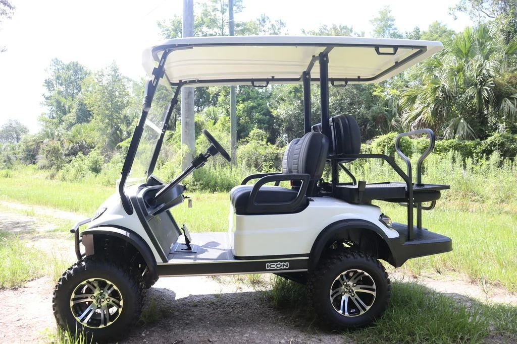 2025 ICON G40L photo 5