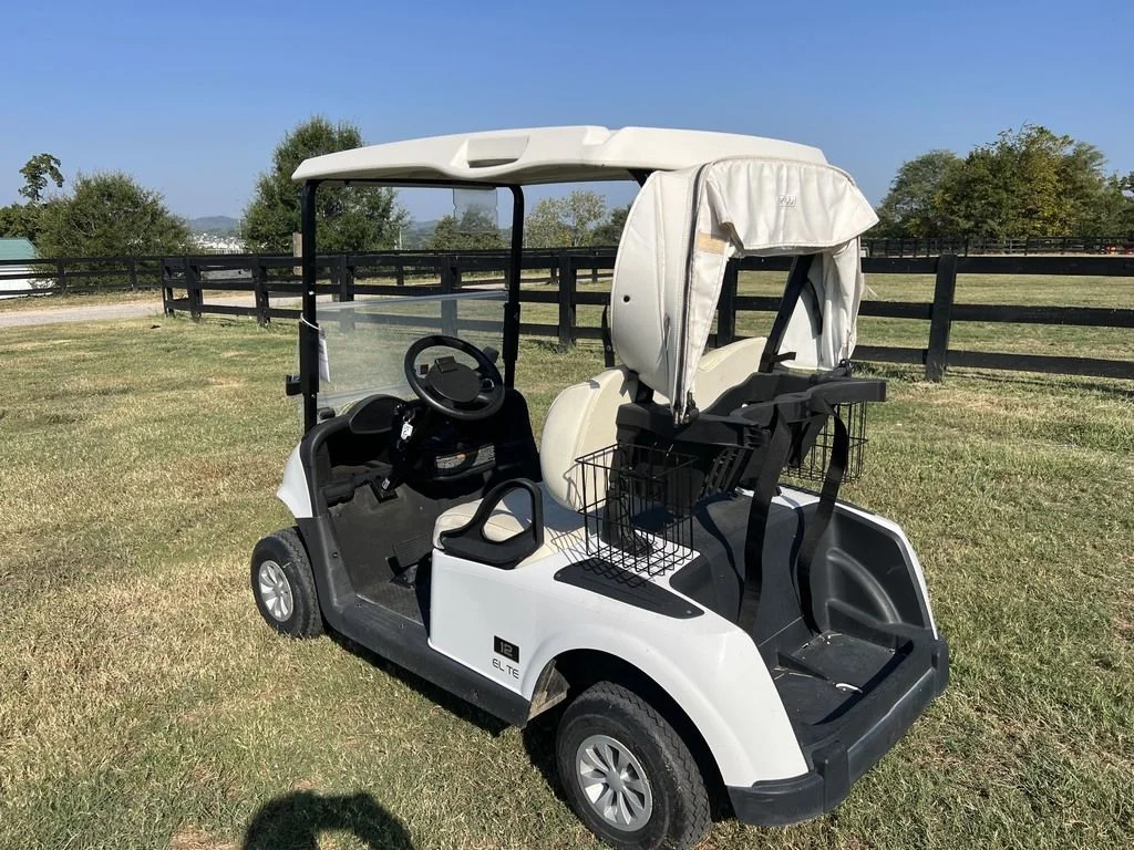2022 E-Z-GO RXV photo 3