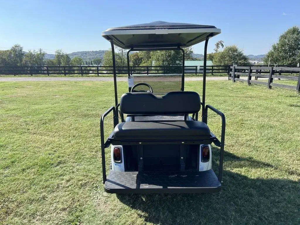 2021 E-Z-GO RXV photo 4