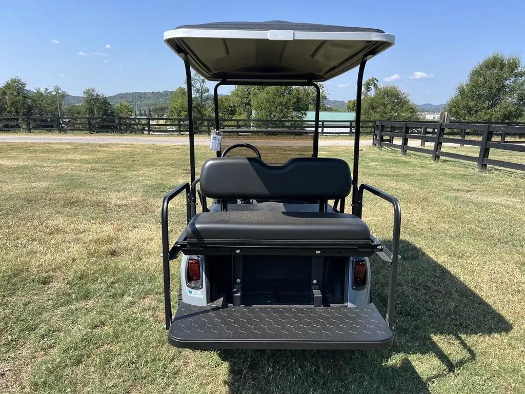 2021 E-Z-GO RXV photo 4
