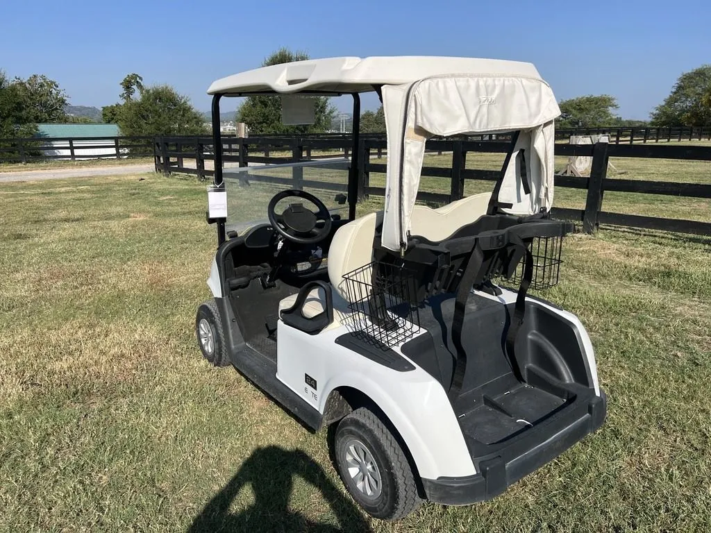 2022 E-Z-GO RXV photo 3