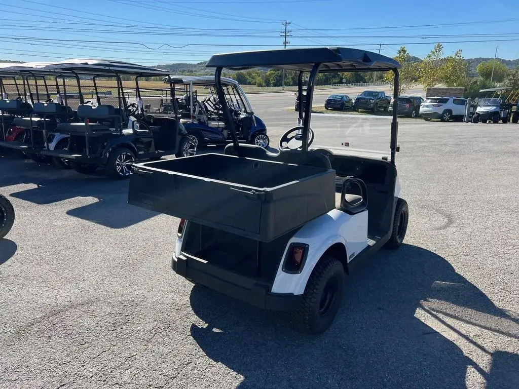 2021 E-Z-GO RXV photo 5
