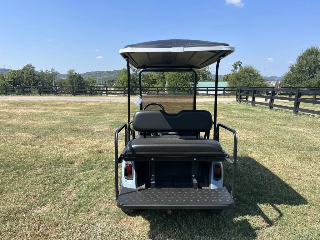 2021 E-Z-GO RXV photo 4