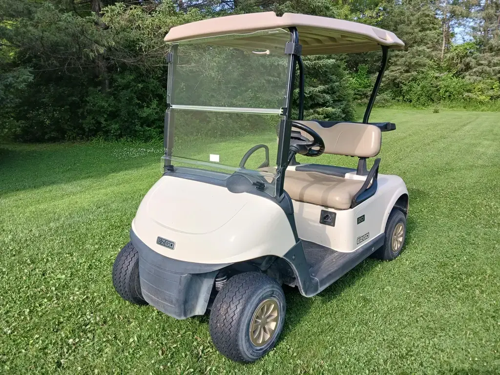 2018 E-Z-GO RXV photo 1