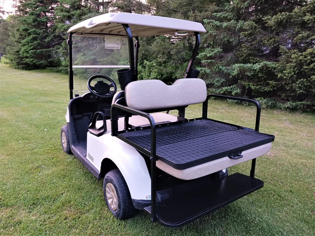 2018 E-Z-GO RXV photo 3
