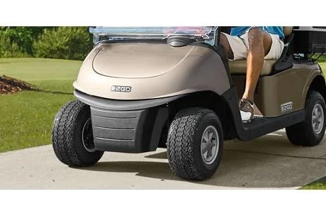 2019 E-Z-GO RXV photo 5