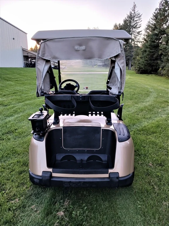 2014 E-Z-GO RXV photo 4