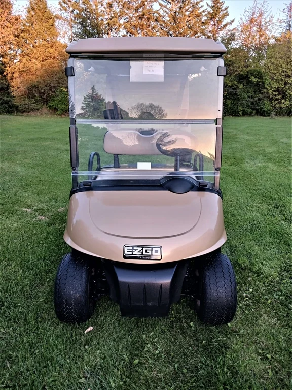 2014 E-Z-GO RXV photo 2