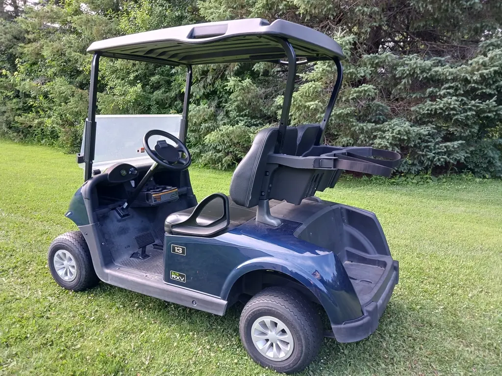 2020 E-Z-GO RXV photo 3