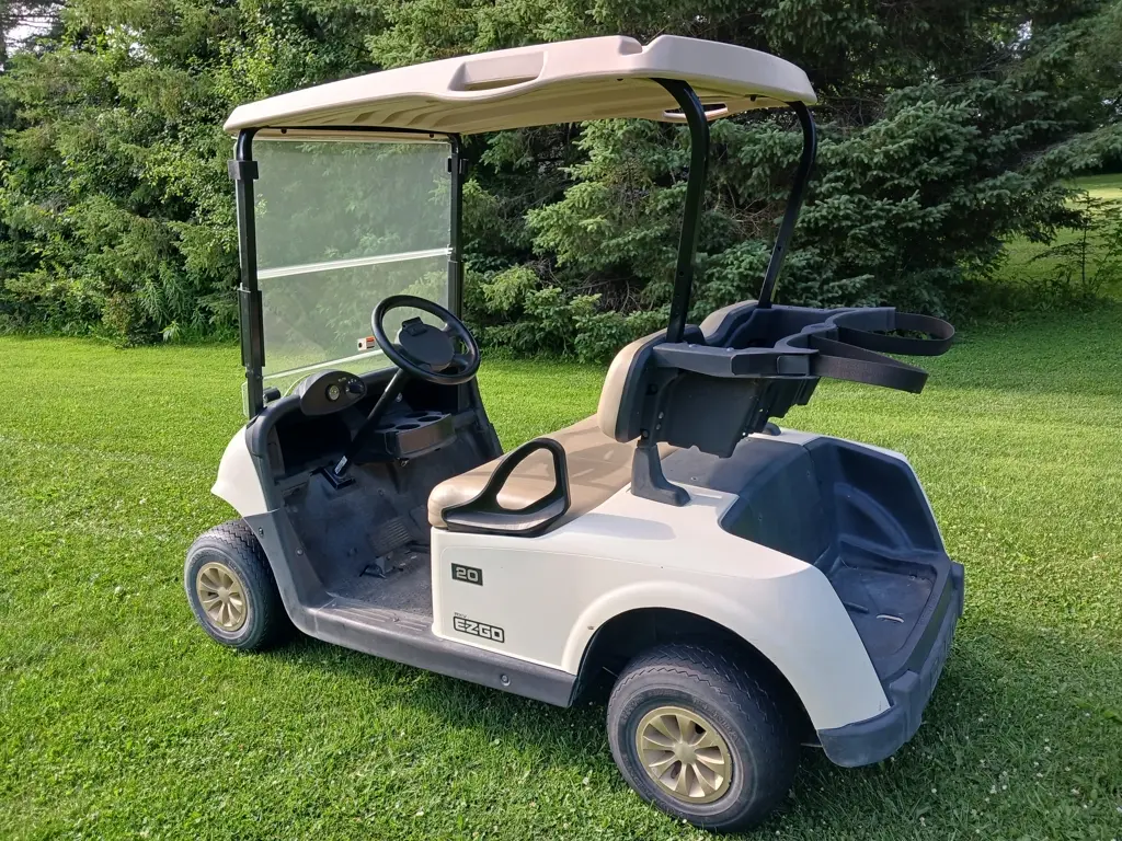 2018 E-Z-GO RXV photo 4