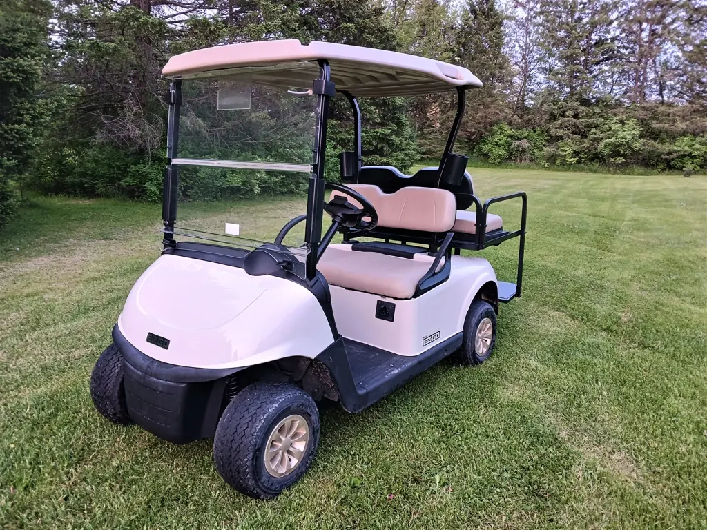 2018 E-Z-GO RXV photo 4