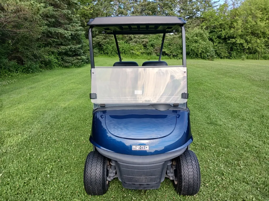 2020 E-Z-GO RXV photo 4
