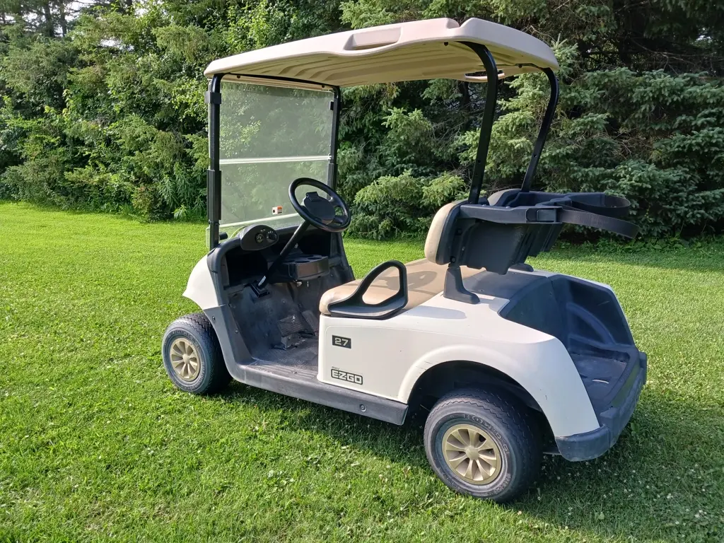 2018 E-Z-GO RXV photo 3