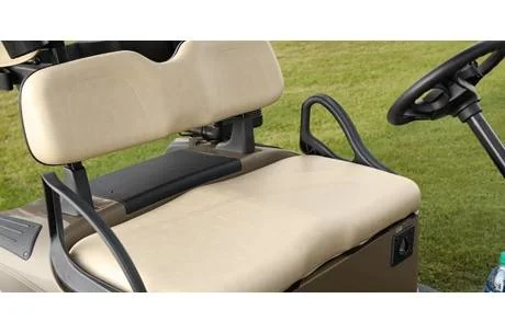 2019 E-Z-GO RXV photo 7