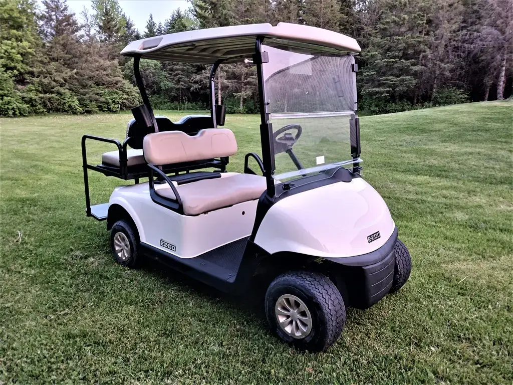 2018 E-Z-GO RXV photo 1