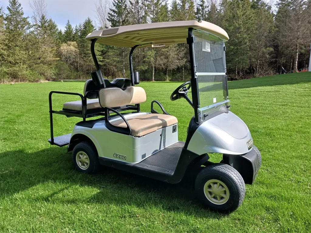 2014 E-Z-GO RXV photo 4