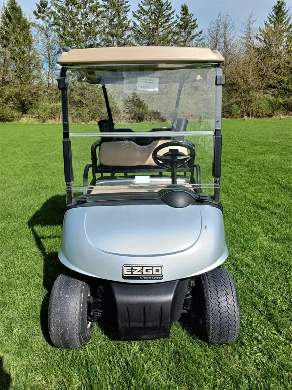 2014 E-Z-GO RXV photo 5