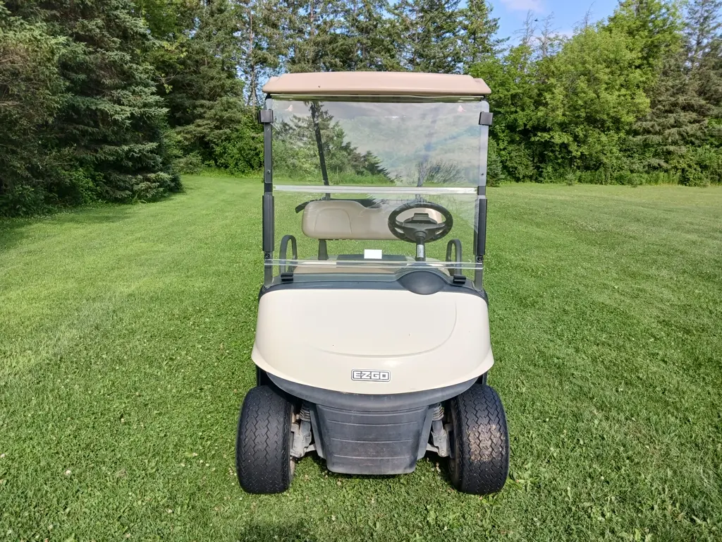 2018 E-Z-GO RXV photo 2