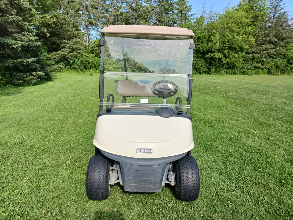 2018 E-Z-GO RXV photo 2