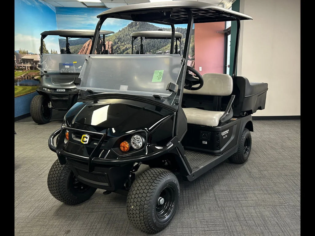2026 Cushman Hauler 800X photo 2
