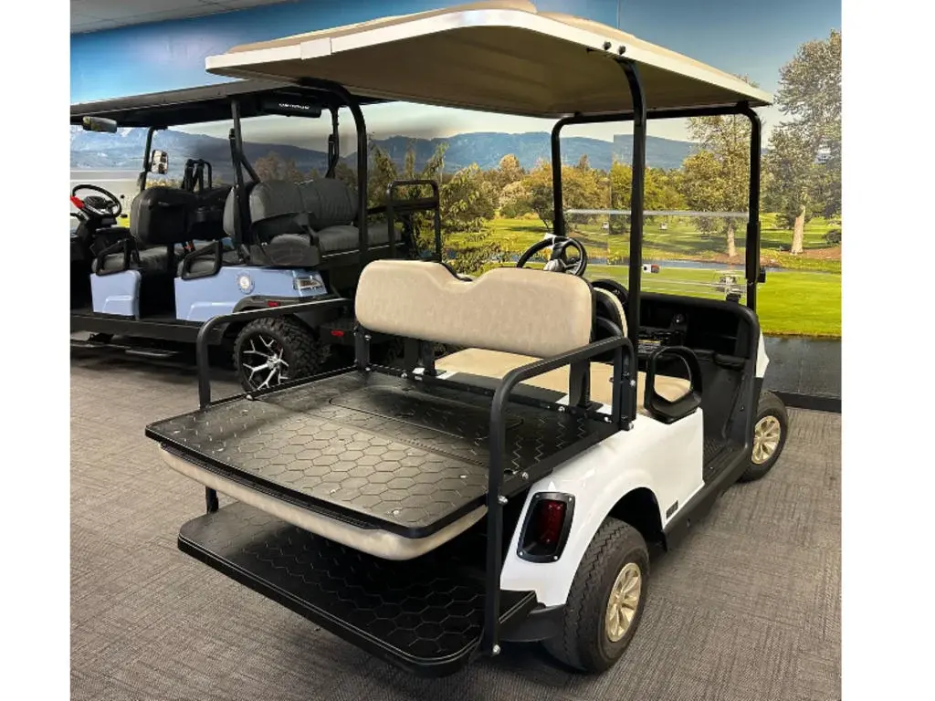 2021 E-Z-GO RXV photo 2