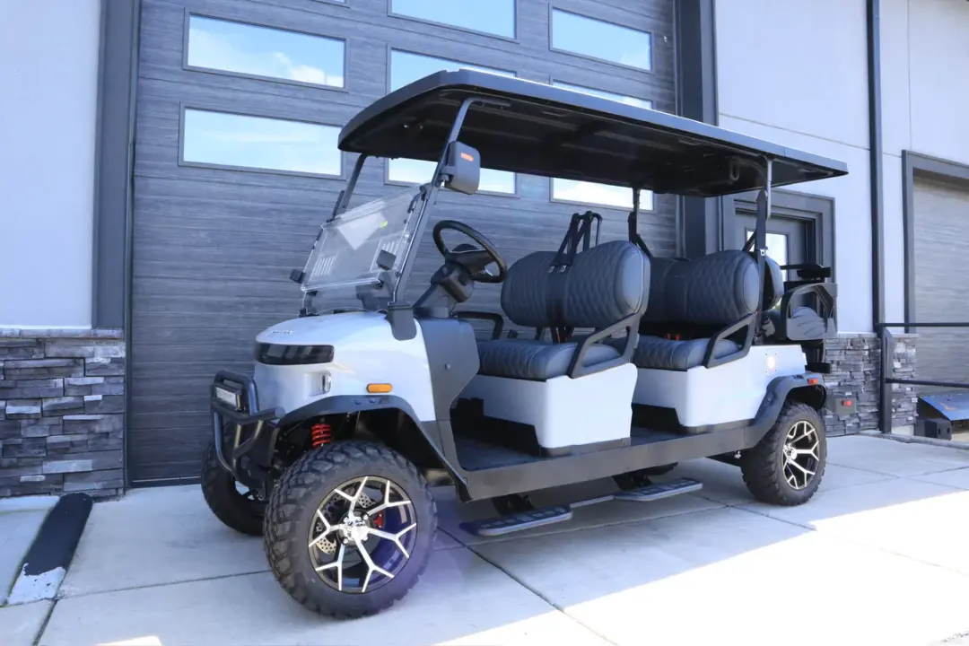 2026 Denago Rover XL 6 Gray photo 1