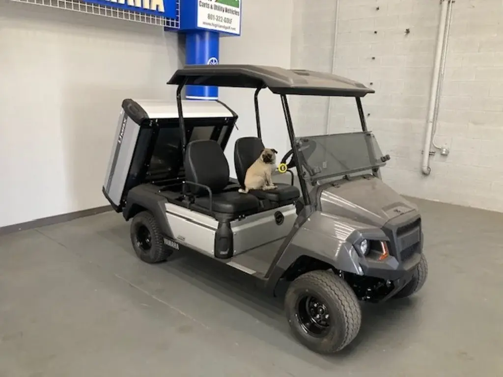 2026 Yamaha UMAX photo 1