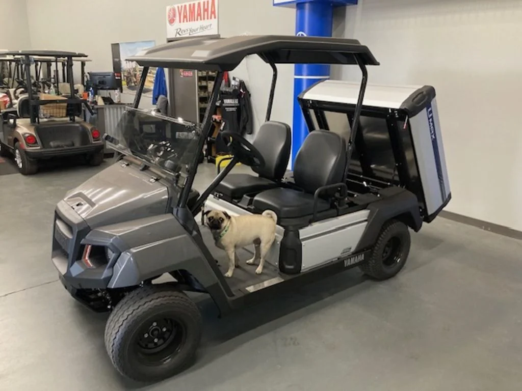 2026 Yamaha UMAX photo 2