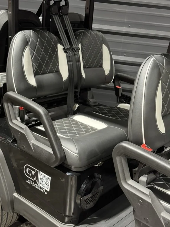 2026 ICON i60LX photo 10