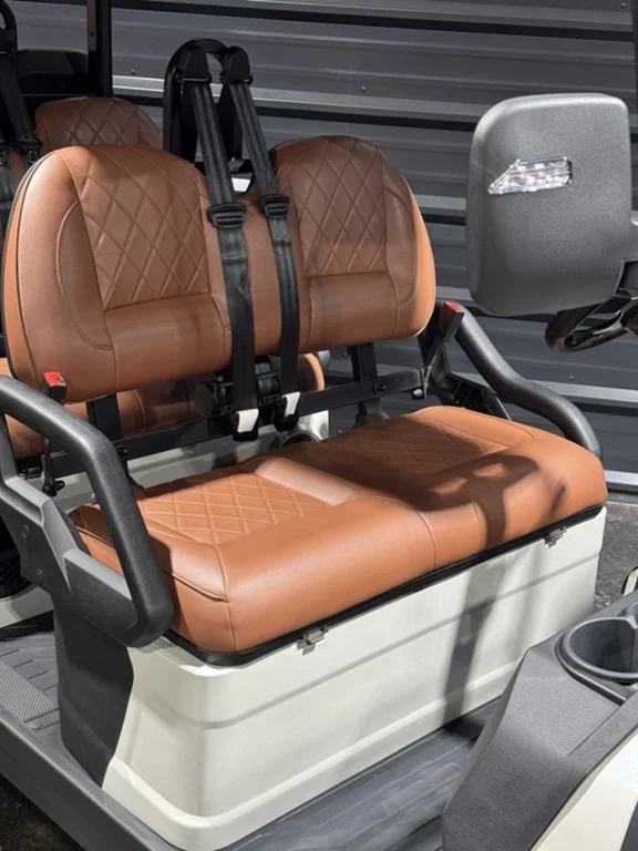 2026 ICON i60LX photo 9