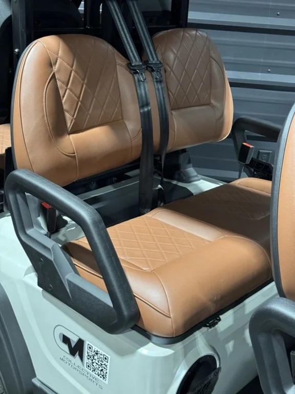 2026 ICON i60LX photo 11