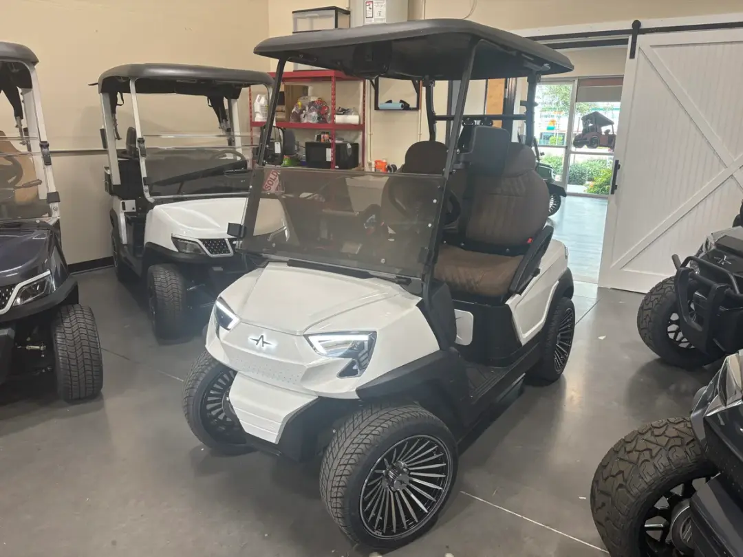 2026 Atlas 2P W105 Passenger Golf Cart With Apple Car Play photo 1