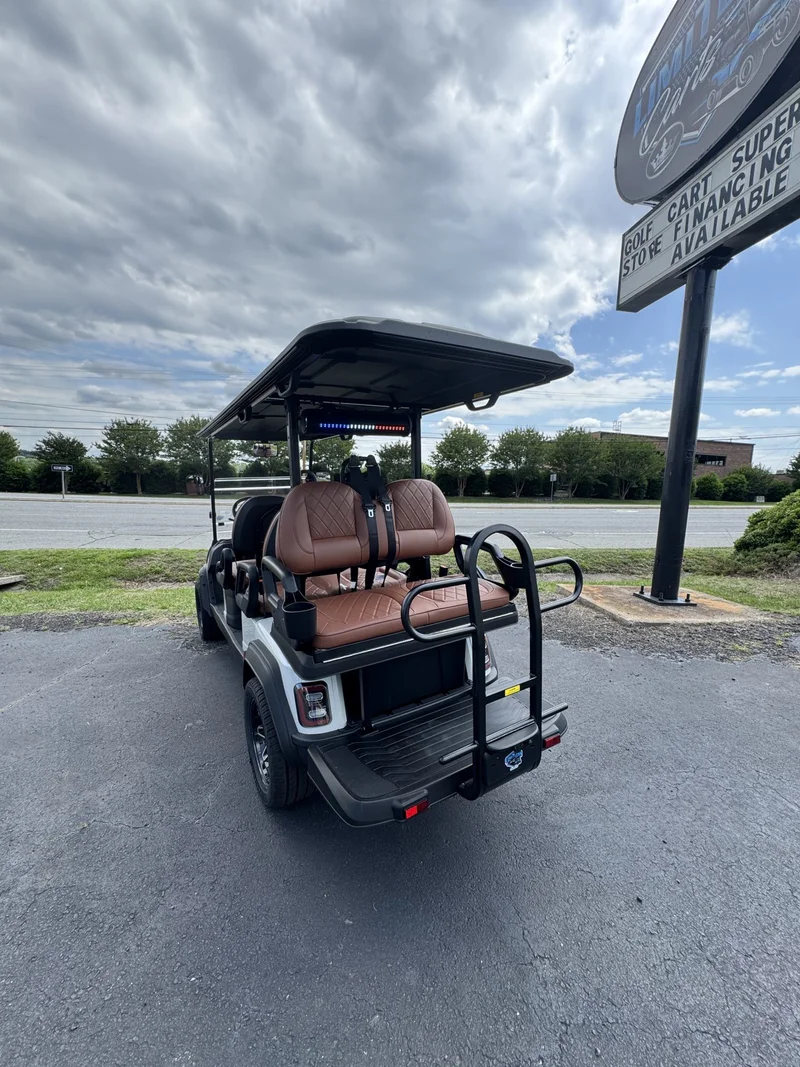 2026 ICON i60LX White photo 11