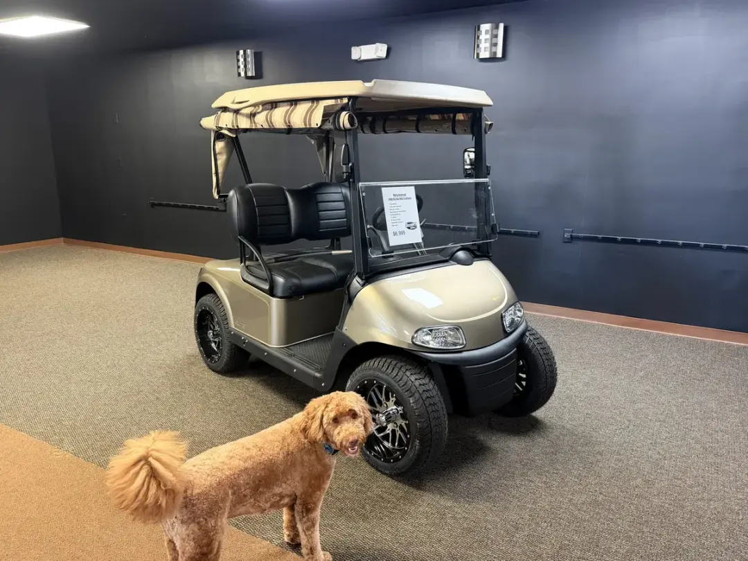 2020 E-Z-GO Freedom ELiTE Lithium photo 1