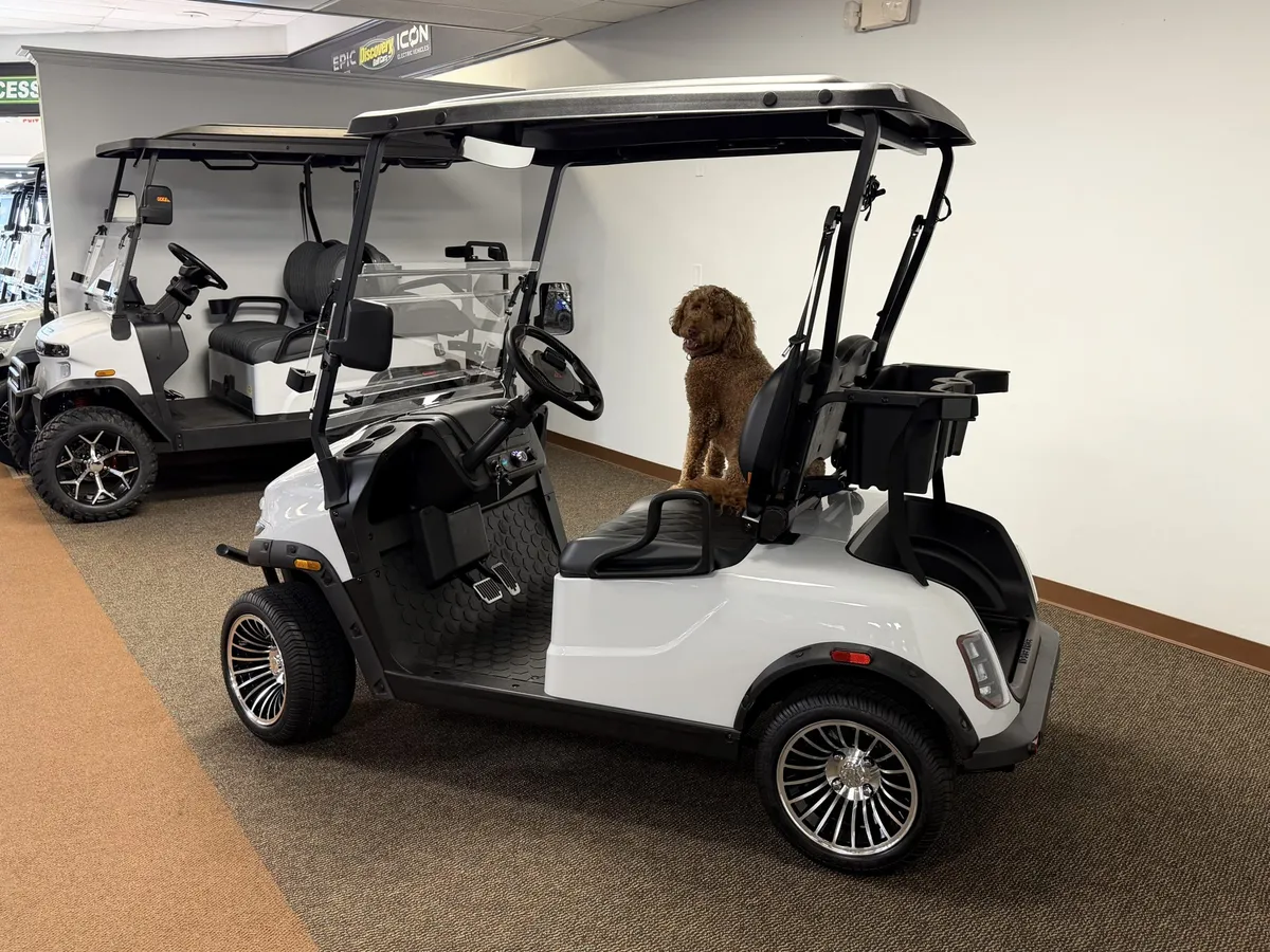2026 Denago Nomad XL 2 Passenger photo 2