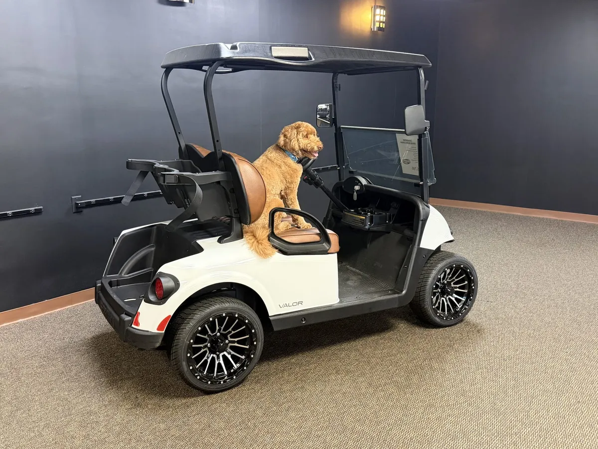 2020 E-Z-GO Freedom ELiTE Lithium photo 2