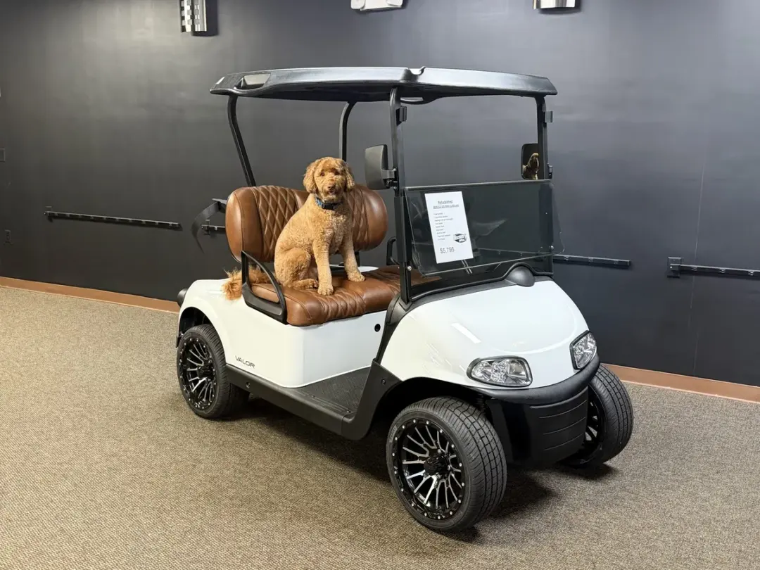 2020 E-Z-GO Freedom ELiTE Lithium photo 1