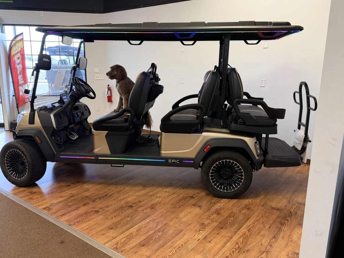 2026 Epic Carts E60FX Champagne photo 4