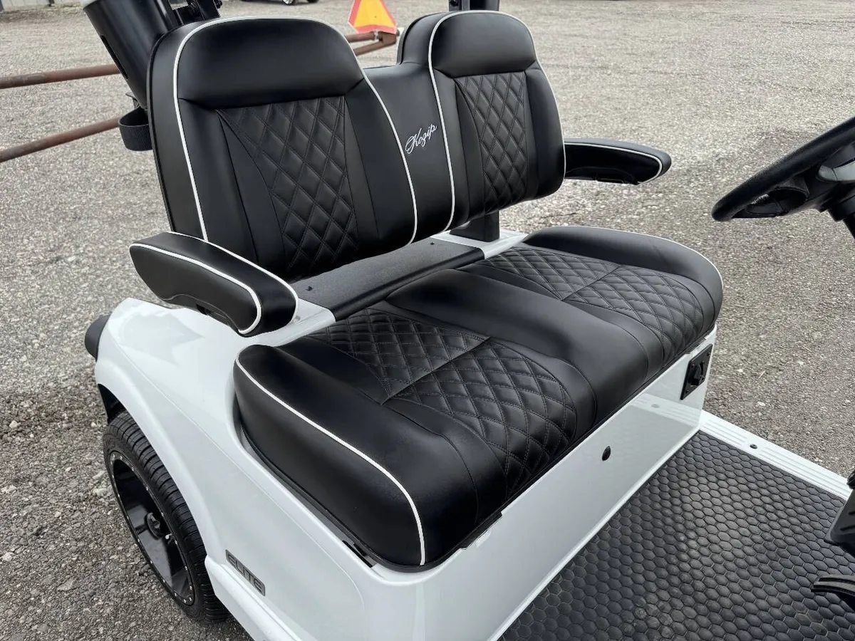 2025 E-Z-GO Freedom ELiTE Lithium photo 6