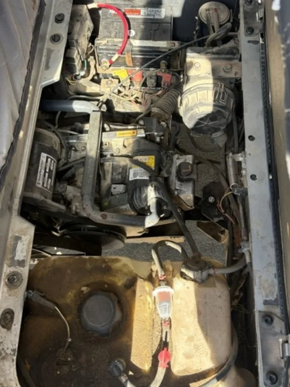 2015 E-Z-GO RXV photo 5