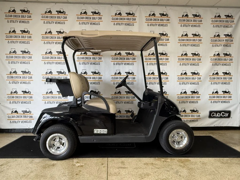 2009 E-Z-GO RXV photo 2