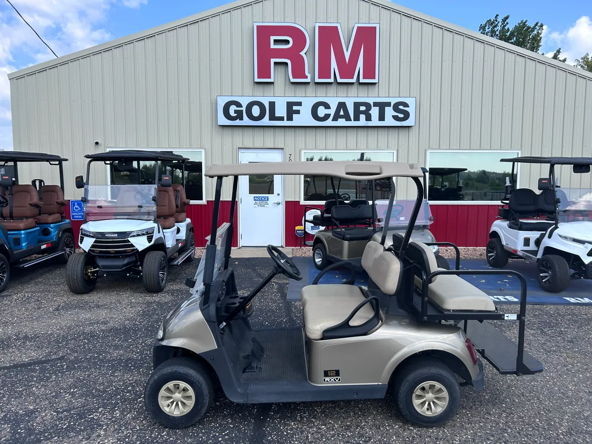2019 E-Z-GO RXV photo 2