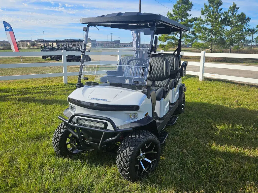 2025 Denago Rover XL 6 photo 1