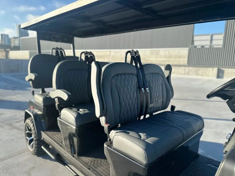 2026 Denago Rover XXL photo 10