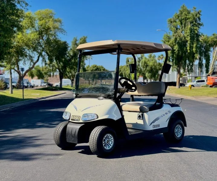 2010 E-Z-GO RXV photo 1
