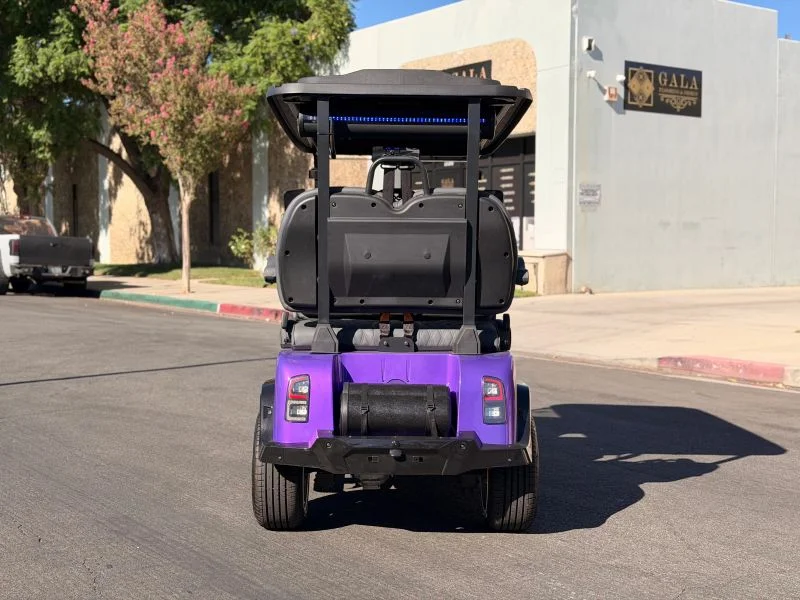 2026 Denago Rover XL photo 6