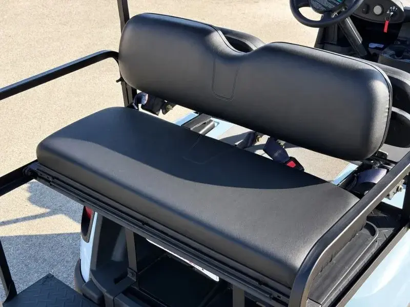 2021 E-Z-GO RXV photo 8